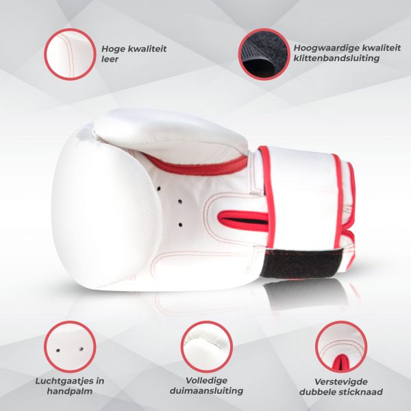 Bokshandschoen BG TR Wit