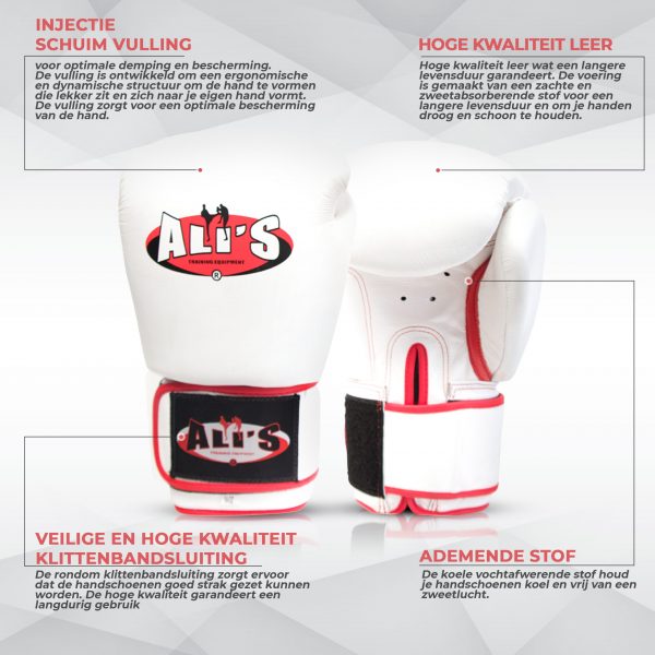 Bokshandschoen BG TR Wit