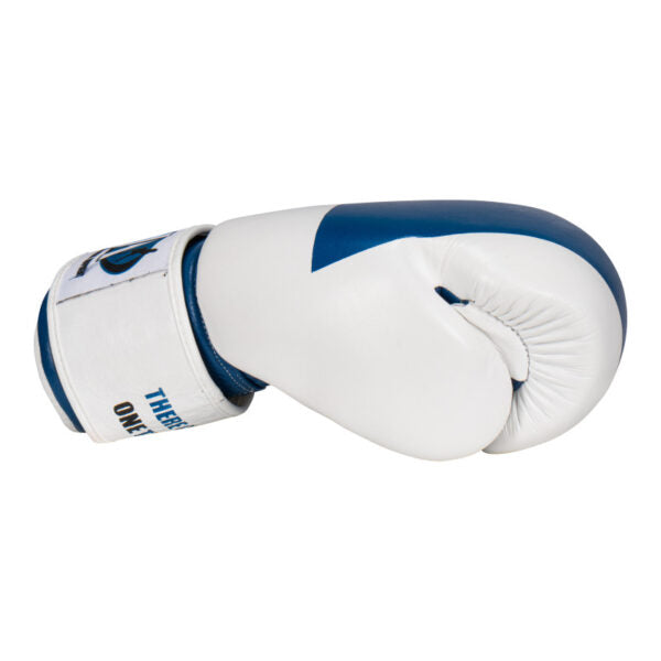 Bokshandschoenen – Blauw / Wit