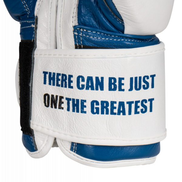 Bokshandschoenen – Blauw / Wit