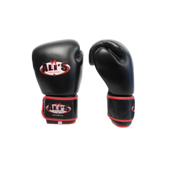 Bokshandschoen BG TR Zwart